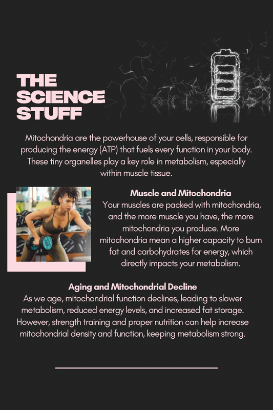 FREE Metabolism Guide for Women