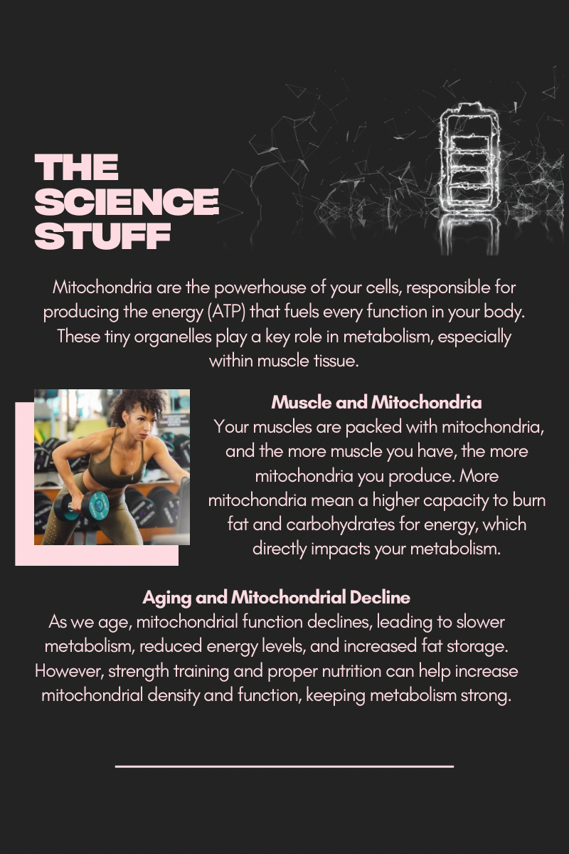 FREE Metabolism Guide for Women