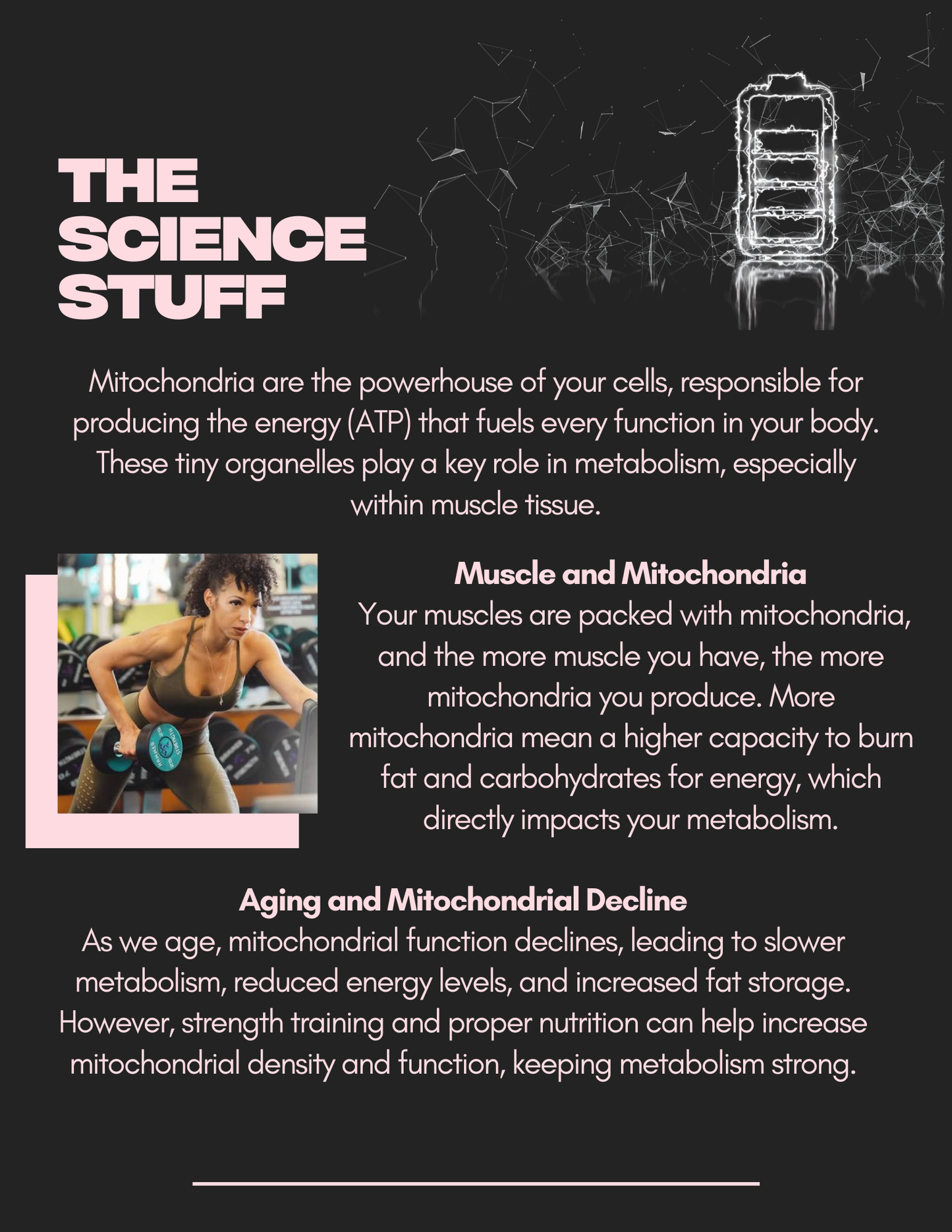 FREE Metabolism Guide for Women