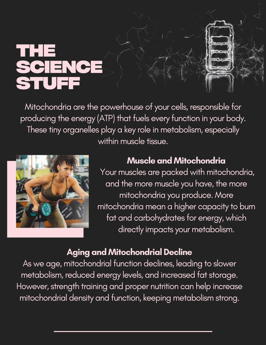 FREE Metabolism Guide for Women